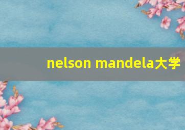 nelson mandela大学